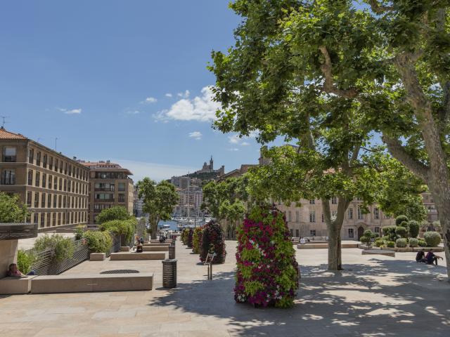 Place Bargemon quartier du Panier à Marseille, vue sur Notre Dame de la Garde en arriere plan