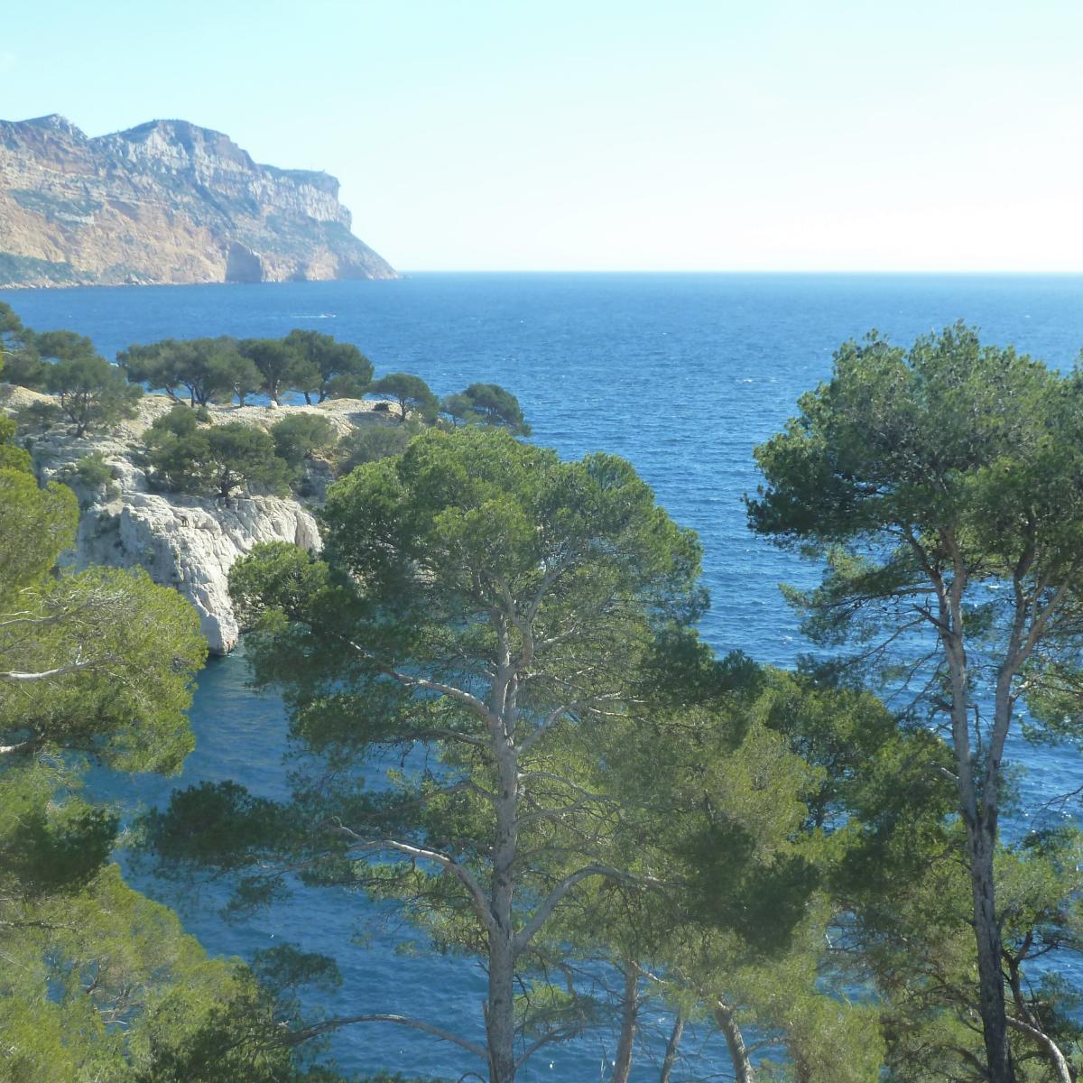 La Calanque de Port-Pin | Marseille Tourisme