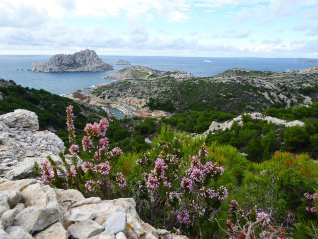 The Calanques National Park