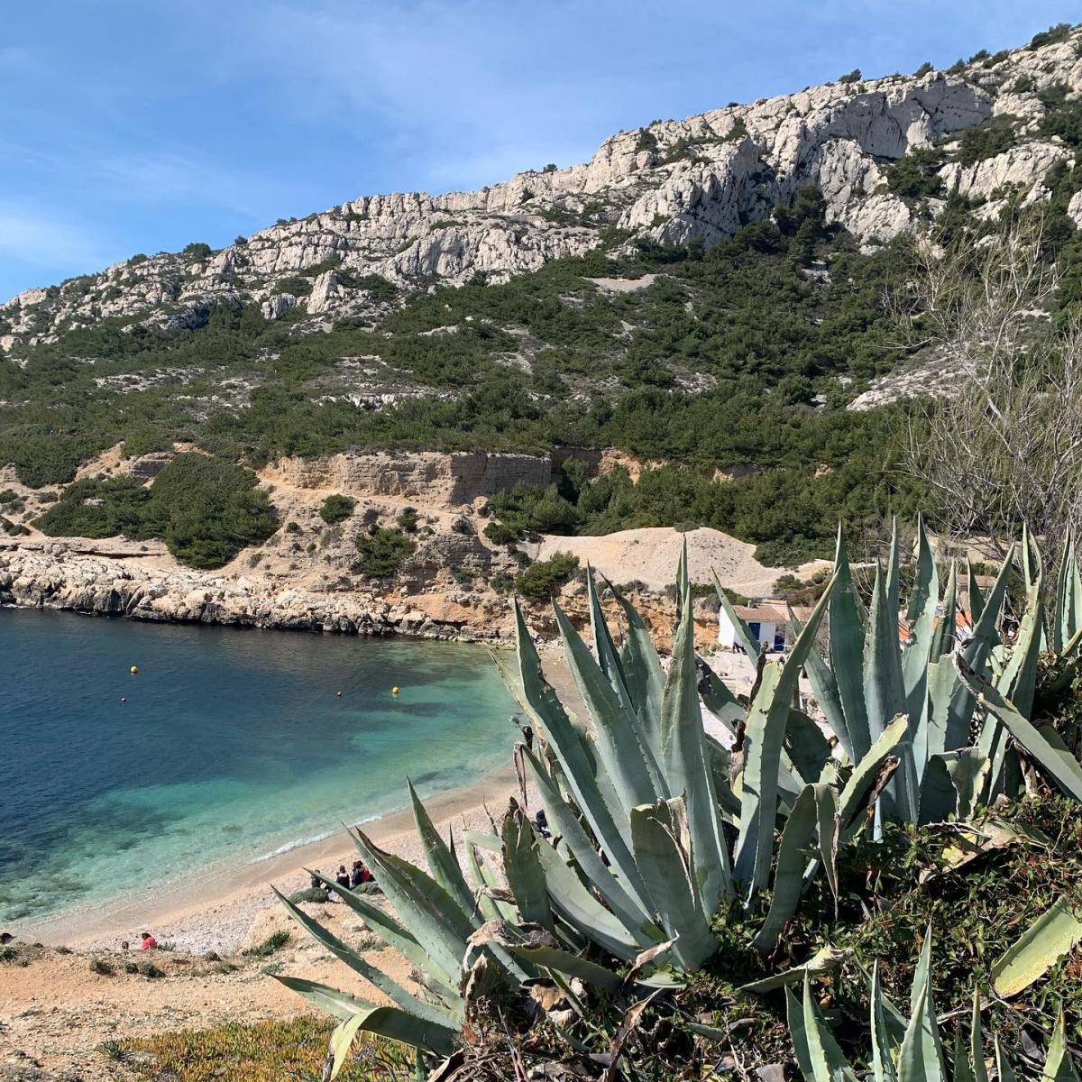 La Calanque de Marseilleveyre  Marseille Tourisme