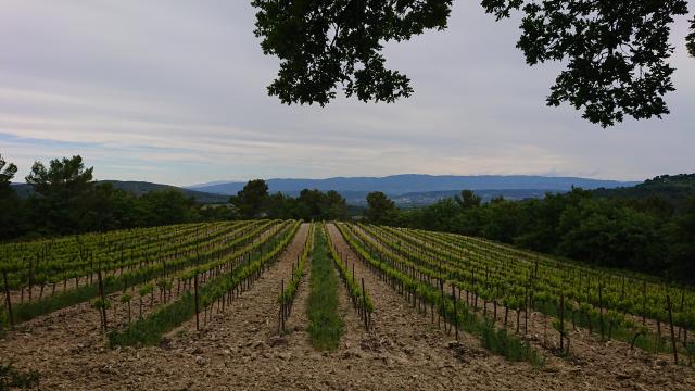 Vignoble Aixois