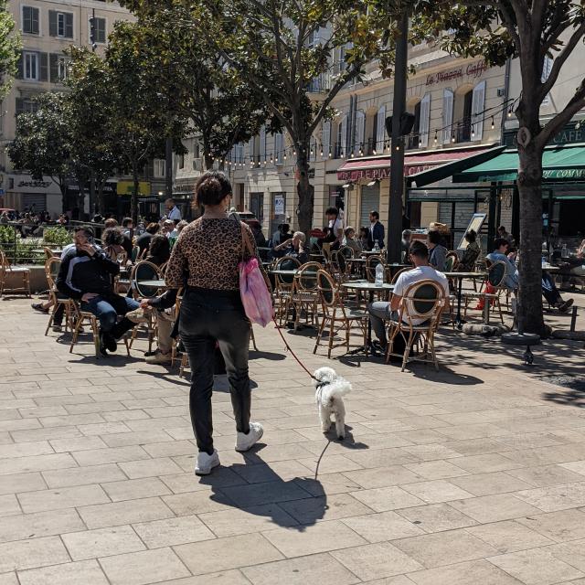 Femme Chien Place General De Gaulle