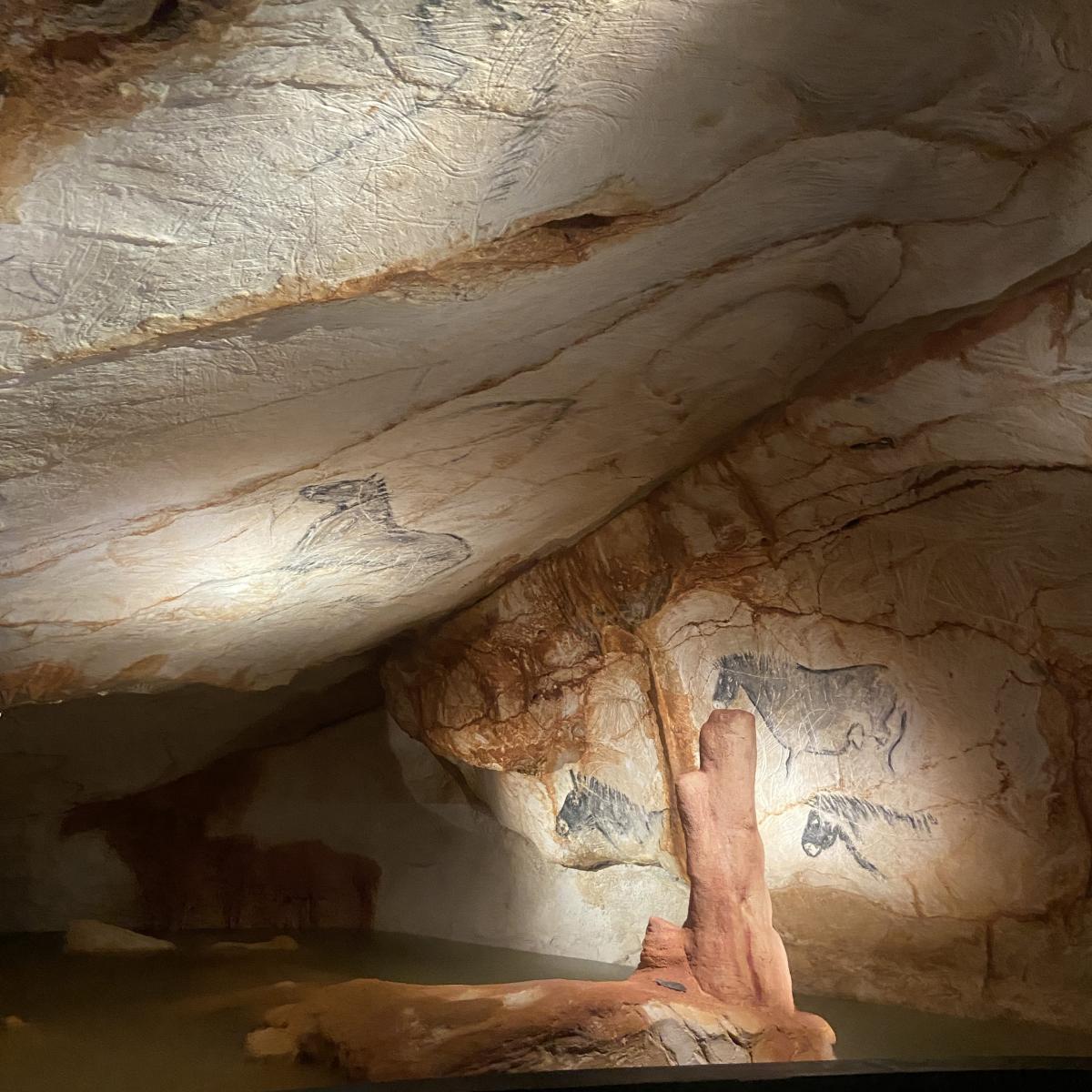 The Cosquer Cave A Major World Site Of Cave Art Marseille Tourism   Grotte Cosquer @ctOMTCM 25 Rotated 1200x1200 