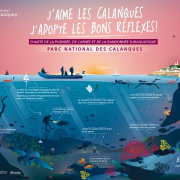 AFFICHE MARSEILLE LES CALANQUES