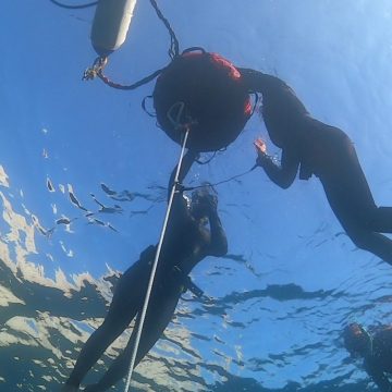 Plongeon sous la mer - Mémoires d'Océans