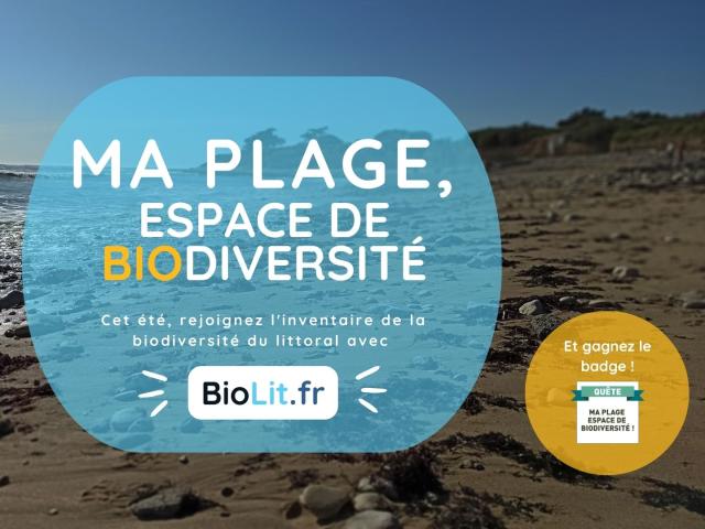 Campagne Ma Plage Espace De Biodiversite