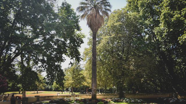 Parc Francois Billoux Marseille