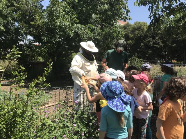 Apiculteur avec des enfants