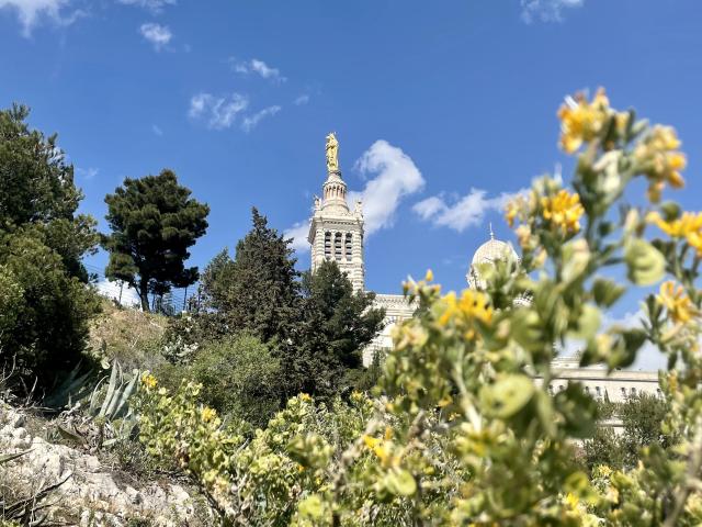 Notre dame de la Garde et sa végétation depuis le quartier Vauban