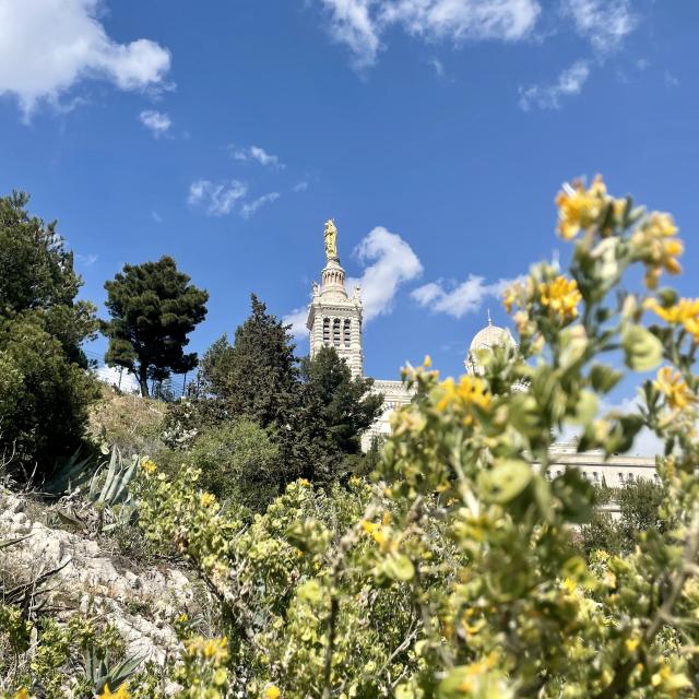 Notre dame de la Garde et sa végétation depuis le quartier Vauban